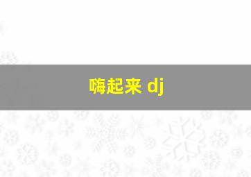 嗨起来 dj